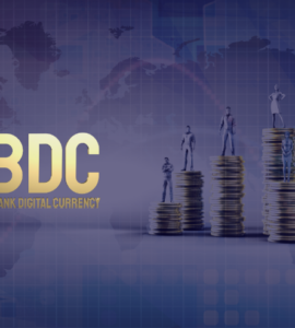 Central Bank Digital Currencies